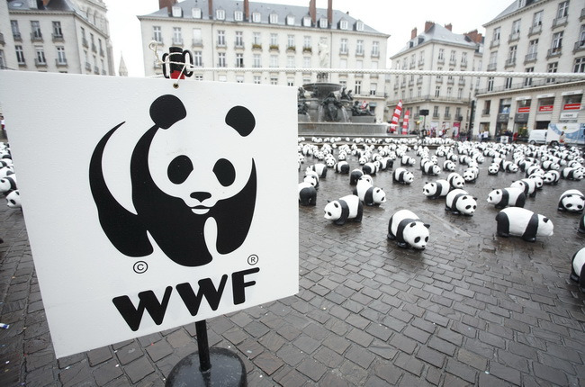 Ȼ(WWF)èLogoĹ